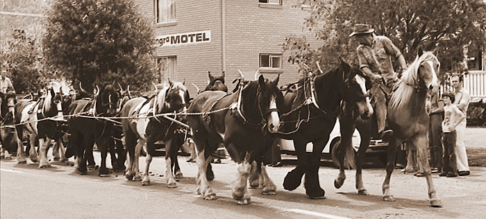 Canungra History – Oct. 1979 - Part 2